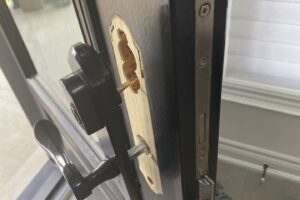 Specialty entry door locks